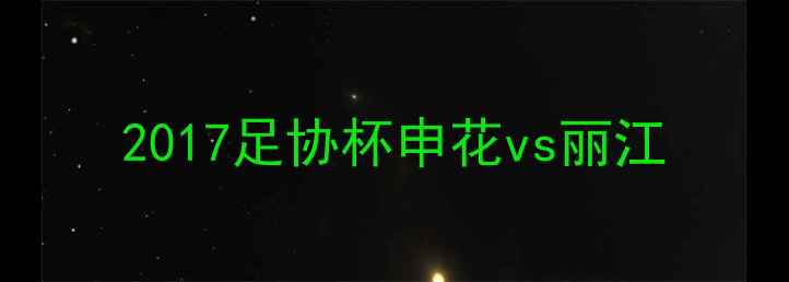 图片 2017足协杯申花vs丽江