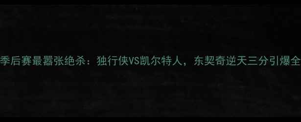 图片 NBA季后赛最嚣张绝杀：独行侠VS凯尔特人，东契奇逆天三分引爆全网2