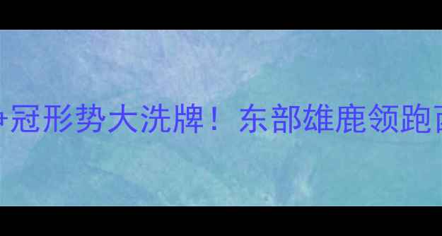 图片 NBA常规赛30队深度：争冠形势大洗牌！东部雄鹿领跑西部湖人紧咬金州勇士1