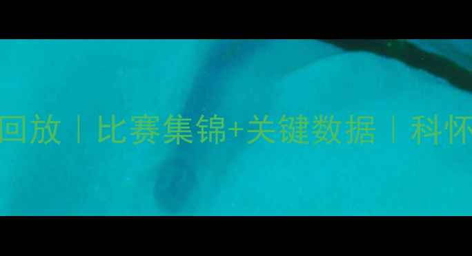 图片 NBA快船VS爵士高清回放｜比赛集锦+关键数据｜科怀·伦纳德爆发表现2