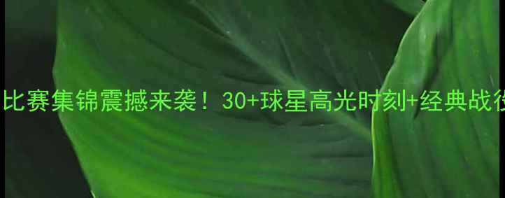 图片 NBA高清比赛集锦震撼来袭！30+球星高光时刻+经典战役全收录