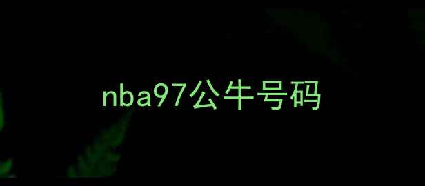 图片 nba97公牛号码
