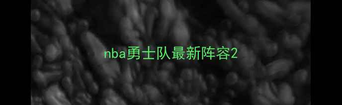 图片 nba勇士队最新阵容2