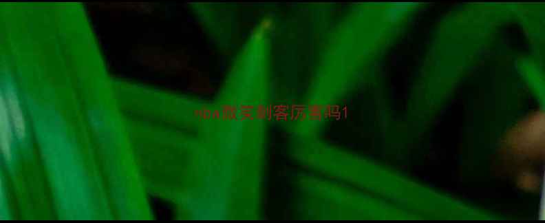 图片 nba微笑刺客厉害吗1