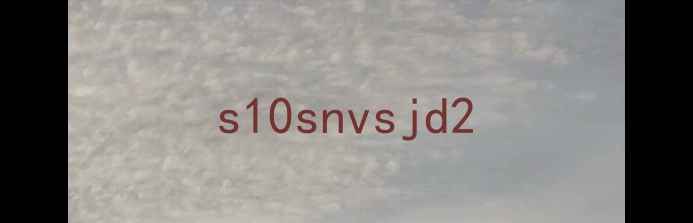 图片 s10snvsjd2