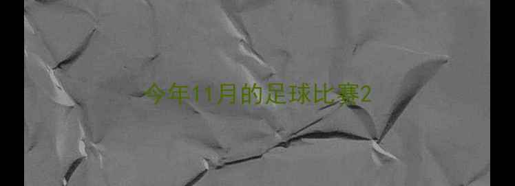 图片 今年11月的足球比赛2