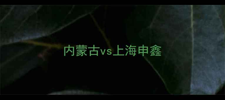 图片 内蒙古vs上海申鑫