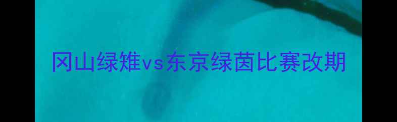 图片 冈山绿雉vs东京绿茵比赛改期