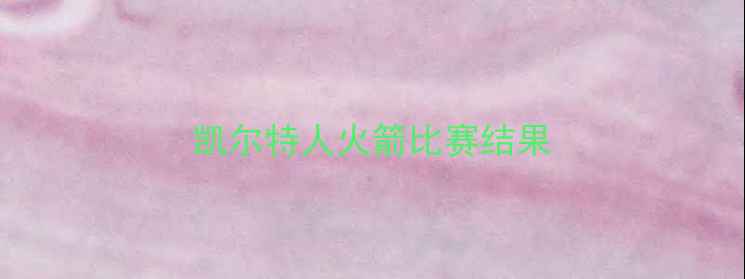 图片 凯尔特人火箭比赛结果