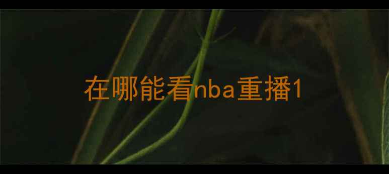 图片 在哪能看nba重播1