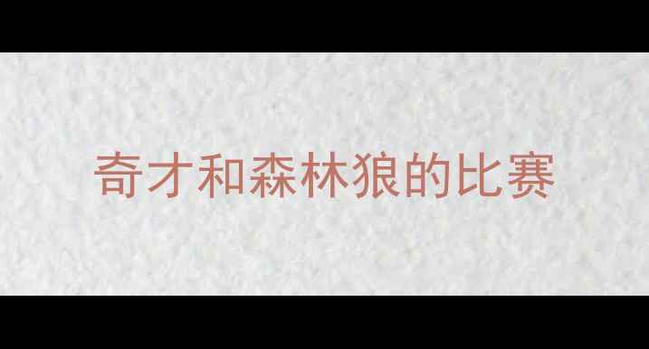 图片 奇才和森林狼的比赛