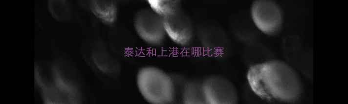 图片 泰达和上港在哪比赛