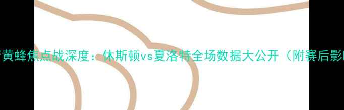 图片 赛季火箭黄蜂焦点战深度：休斯顿vs夏洛特全场数据大公开（附赛后影响分析）