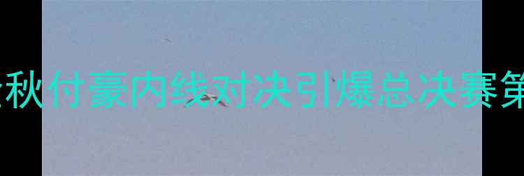 图片 辽宁男篮VS广厦双雄：胡金秋付豪内线对决引爆总决赛第三战！深度CBA历史性战役