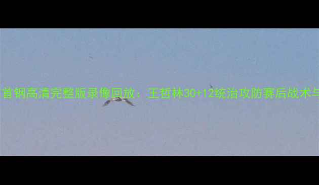 图片 辽宁男篮vs北京首钢高清完整版录像回放：王哲林30+12统治攻防赛后战术与未来争冠展望1